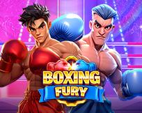 Boxing Fury